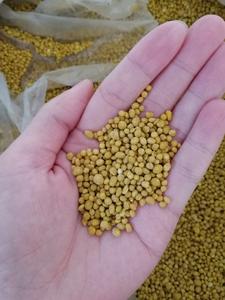 Fertilizzante per Prato Tutto-in-Uno 25-5-10 ad Alto Contenuto di Azoto con Nutrizione Bilanciata per la Salute da Radice a Foglia - Product Image 5