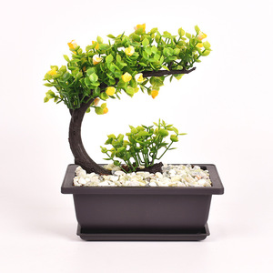 Gardening Rectangular Plastic Bonsai / <b>Succulent</b> <b>Pots</b> - Product Image 1