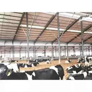 Hangar de ferme à structure en acier, fabriqué sur mesure, fabriqué à la maison, pour la volaille, les laits, les vaches