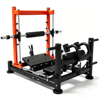 Machine de musculation dorsale commerciale OEM, robuste et sécurisée, à charge par plaques, équipement de gym, distributeur en gros, usine