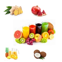 Extracteur de Jus Automatique à Pression à Froid, Machine à Jus Spirale pour Fruits (Mangue, Ananas, Orange, Citron, Gingembre) - Meilleures Ventes