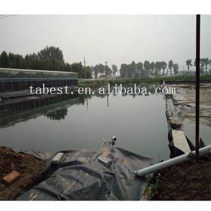 Géomembrane PEHD 2mm Membrane anti-infiltration PEHD Bâche Crevette Spiruline Agriculture Doublures d'étang avec certificats CE - Product Image 4