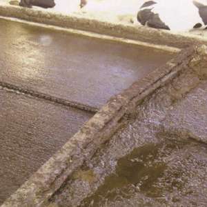 Viehdung reinigungs maschine Edelstahl-Mistabsc haber platte für Tierhaltung geräte - Product Image 3