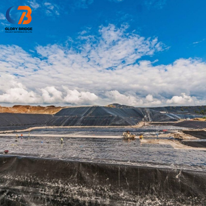 Membrane géomembrane HDPE 1 mm pour les installations de stockage des résidus industriels et les décharges, à <span class=keywords><strong>prix</strong></span> compétitif - Product Image 5