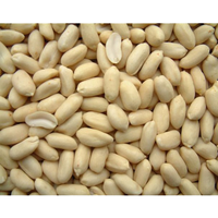 Noyaux d'arachides pelées d'origine Shandong grade 3A snack séché arachides blanchies qualité d'exportation saine et nutritive