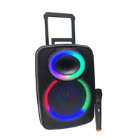 Karaoké extérieur, microphone sans fil 12 pouces, 20W RGB pour système audio Hi-Fi 5.0, double microphone, batterie 3600mAh, télécommande