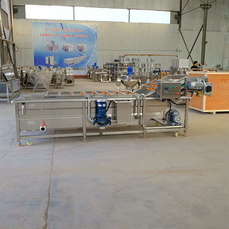 Commercial Fruit Clean Washer Vegetable Water Bubble Vegetable Washing Machine Processing Line