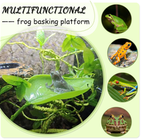 Habitat moderne écologique pour grenouilles arbres, reptiles, amphibiens, petites plantes en plastique réalistes, boîte pour animaux de compagnie, décoration paysagère