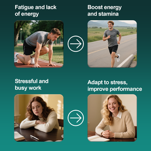 תוסף גומי רודיולה טבעי למבוגרים - לשיפור מצב הרוח והפגת מתחים, התאוששות אנרגטית, שיפור השינה ותמיכה בזיכרון - Product Image 6