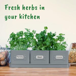 <strong>Herb</strong> Pots for <strong>Kitchen</strong> Windowsill Set of 3 <strong>Herb</strong> <strong>Planter</strong> Indoor with Leather Handled Tray Indoor <strong>Herb</strong> Garden - Product Image 3