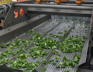 Vortex mesin cuci tanaman pengolahan sayur & buah skala besar Salad pencuci makanan saluran produksi pengering pembersihan - Product Image 5