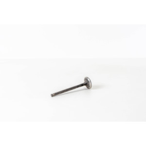 Valvola di scarico adatta per IVECO 500327442 Valvole motore - Product Image 3