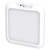 Lampe de placard rechargeable à détecteur de mouvement avec télécommande magnétique sans fil plafonniers pour placards douche garde-manger escaliers couloir