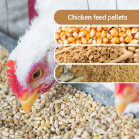 Nouvelle machine à granulés d'aliments automatique 220V 200kg/h pour l'élevage de poulets, poissons, crevettes, moutons et bovins