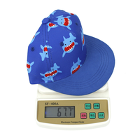 Cappello da Baseball per Bambini Wins Flying, 1 Pezzo, Etichetta Privata, Stampa Cartoon, Moda High-Street Estiva per Bambini e Bambine