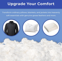 Matériau de Remplissage en Duvet de Canard Blanc 5/95 RDS DOWNPASS Doux et Moelleux pour Vestes, Oreillers, Couettes, Canapés - Vente en Gros