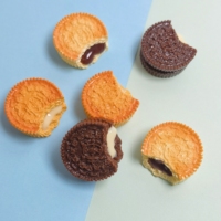 100 Pezzi Mini Biscotti al Cioccolato, Decorazioni per Scrapbooking, Miniature per Case delle Bambole, Decorazioni Alimentari, Materiali per Fai da Te