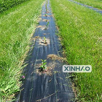 1*100m Couvre-sol Anti-Grass Mesh Weed Barrier Landscape Fabric Agricultural Plastic Weed Control Mat Roll