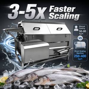 Machine à écailler le poisson à haut rendement, rotation rapide (3 à 5 fois plus rapide que la manuelle), débit d'eau continu pour garder les poissons vivants et frais - Product Image 1