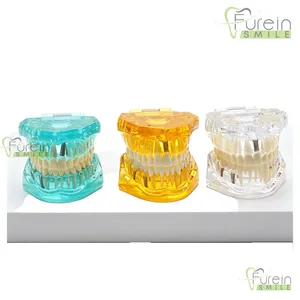 Modelo de Restauración Dental con Dientes Removibles, Implante, Corona y Puente, para Demostración y Estudio, para Educación y Entrenamiento de Dentistas - Product Image 1