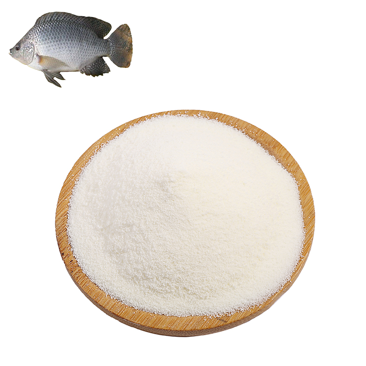 hydrolyzed fish protein supplier hydrolyzed fish protein supplier
