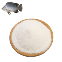 Protéine de poisson de haute pureté, poudre de poisson de haute qualité, fabricant, prix de gros, collagène de poisson
