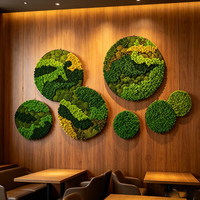 Panneau mural en mousse stabilisée et préservée, cadre photo artistique écologique, décoration murale personnalisée, remise de diplôme, fête des mères, Noël
