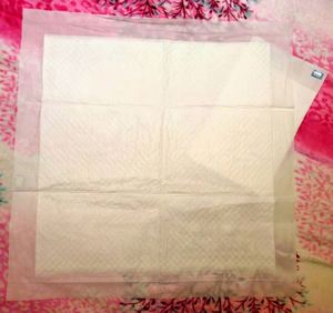 OEM & ODM Customized High Quality Disposable SAP Waterproof <b>Dog</b> Training Pads with Fashion Design - Product Image 6
