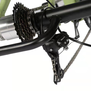 <span class=keywords><strong>Bici</strong></span> elettrica elettrica da carico per adulti a <span class=keywords><strong>tre</strong></span> <span class=keywords><strong>ruote</strong></span> con triciclo elettrico a 3 <span class=keywords><strong>ruote</strong></span> - Product Image 5