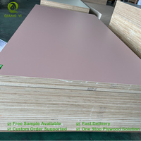 Biz Standart Ticari Yapısal Dayanıklı Beyaz Renkli 18mm Deniz Tipi Lamine Kontrplak Tekne Kullanımı