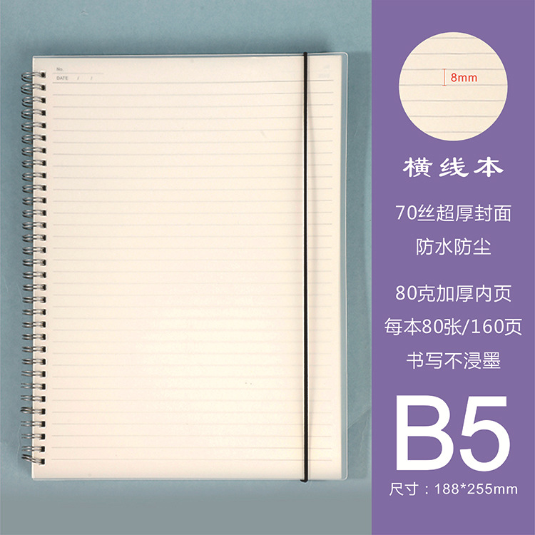 Linea orizzontale B5