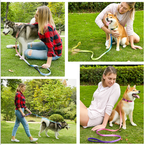 Offre Spéciale Oem Collier de chien en nylon réglable personnalisé de luxe personnalisé - Product Image 5