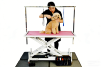 Table de toilettage pour animaux de compagnie carrée électrique, hauteur réglable de 650 à 900 mm, plateau antidérapant de grande taille pour salon professionnel, clinique, maison