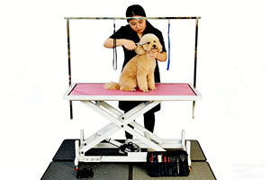 電動ペットグルーミングテーブル 650-900mm 高さ調節可能 大型滑り止めトップ プロ用サロンクリニック家庭用 - Product Image 6