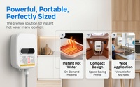 Chauffe-eau électrique mural instantané en acier inoxydable, commande manuelle, 110V, petit format, sans réservoir, chauffage rapide, pour hôtel et voiture