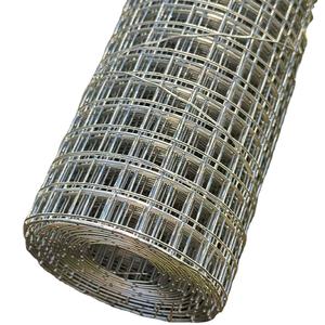 Vente en gros de grillage soudé galvanisé à chaud de 12*12 mm pour cage à volaille - Product Image 6