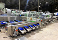 Lonkia Automatische Wortelaardappelsorteermaat En Reinigingsmachine \ Wortelwasmachines \ Wortelsorteermachine