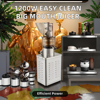 Extracteur de jus multi-usages puissant 750W pour fruits et légumes, presse à froid pour gingembre et pommes