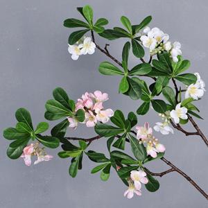 Rama de Flores Artificiales Meng Jie Pittosporum Tobira, Flores de Seda Blancas y Rosas para Decoración del Hogar y Bodas - Product Image 1