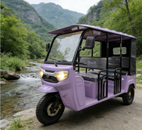 Meilleur prix pour tricycle électrique à deux rangées, E-Trike Bajaj, véhicule à trois roues alimenté par batterie