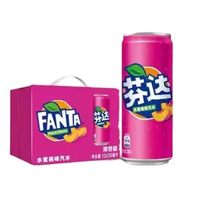 Best selling Fruit Flavored soft Drink soda carbonated drinks