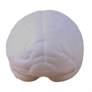 医療用抗ストレススクイシー脳モデルパックソフトPUフォームスローライジングスクイシー玩具教育ツールストレス軽減 - Product Image 2
