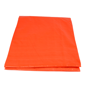 <span class=keywords><strong>Pergola</strong></span> extérieure enduite de PE de couverture de bâche bleue UV imperméable commerciale pour des garçons et des filles - Product Image 4
