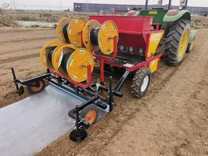 Sembradora vertical automática de 5 hileras para brotes de ajo, máquina de siembra de brotes positivos para uso agrícola - Product Image 2
