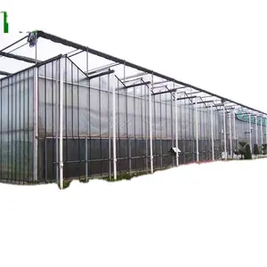 FM complete multi-span venlo glass agricultural green house net equipment turnkey project with quick construction
