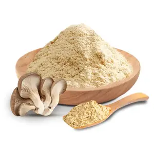 QINSHANTANG Health Supplement 120 Mesh <span class=keywords><strong>Oyster</strong></span> <span class=keywords><strong>Mushroom</strong></span> <span class=keywords><strong>Extract</strong></span> Pó em Garrafa e Mason Jar Embalagem - Product Image 1
