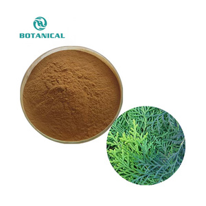 B.C.I Pure Natural Cacumen Platycladi Orientalis Extracto 10:1 Cacumen Platycladi Orientalis P.e Polvo - Product Image 1