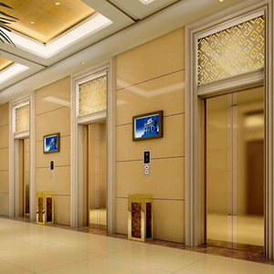 6-8 Person 1600kg 8m/s Super High-speed Passenger Elevator Manufacturer
