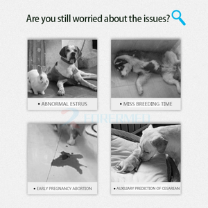 Analyse de situation d'oestrus canin femelle à canal unique vétérinaire test rapide analyseur de progestérone canine Portable - Product Image 2