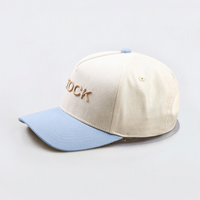 Op maat gemaakte fabrieks-5-delige 100% katoenen pet met 3D geborduurd opgezet logo, gestructureerde dad cap, hoge kwaliteit baseballpet